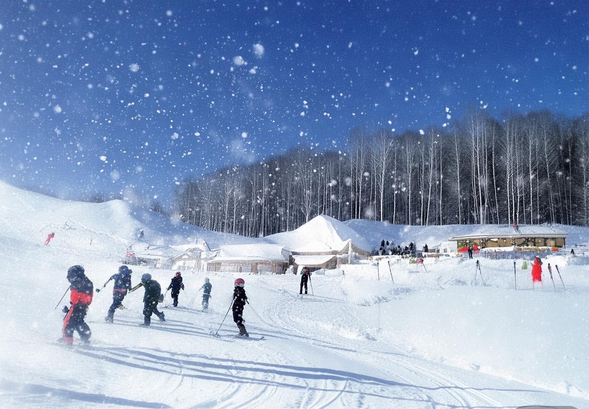 济南滑雪训练营：专业教练带你掌握滑雪技能，开启冬季滑雪新篇章